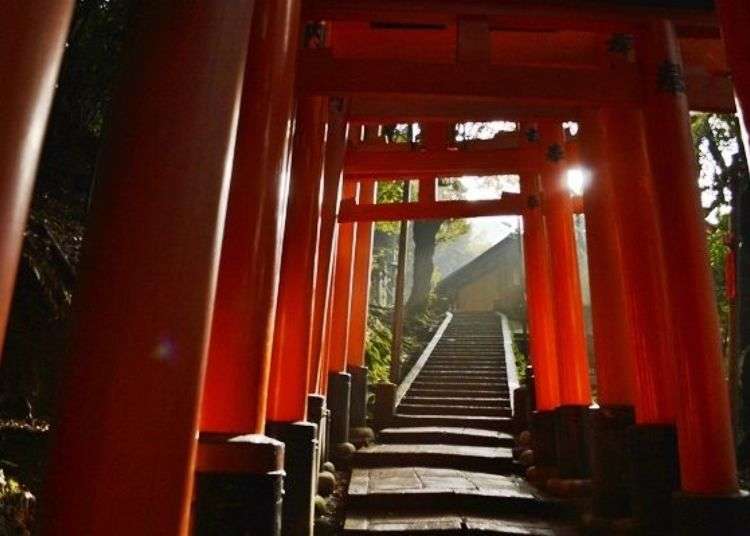 无论哪里都是朱红色鸟居的“祈愿的参道”！带你寻访伏见稻荷大社