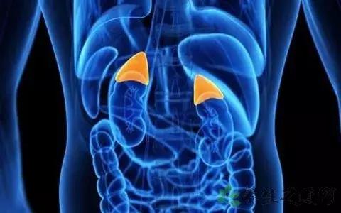 过敏性鼻炎最有效的特效药,尘螨过敏性鼻炎有什么特效药吗