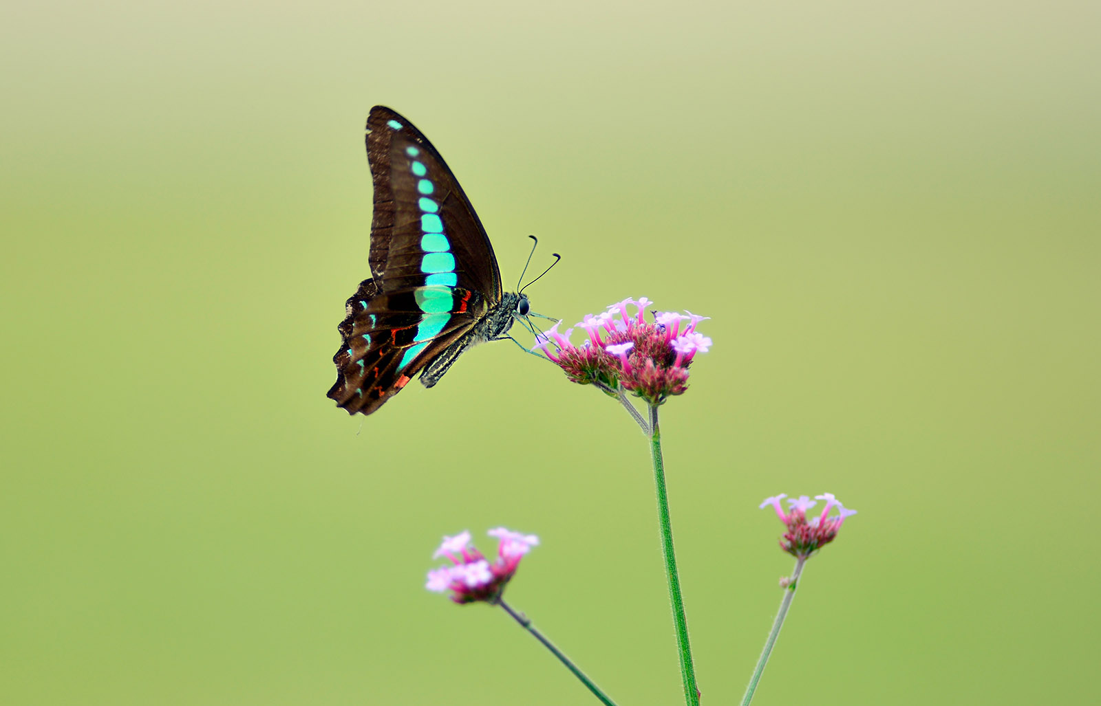 关于二手（这是个沉重而有趣的话题）