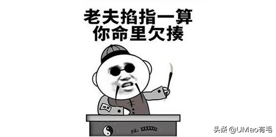 关于弓形虫你所不知道的一切,被弓形虫刷屏的视频