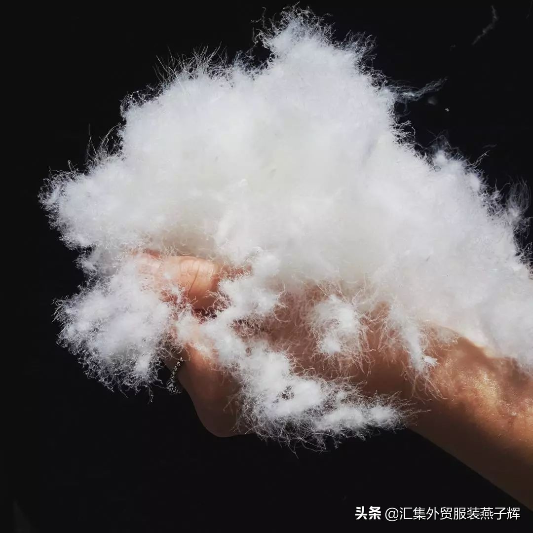 world of moncler羽绒服 (moncler羽绒服为什么这么贵)