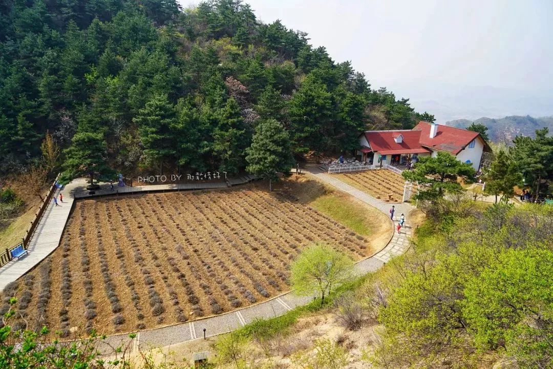 北京京郊童话树屋,台湾神奇的树屋