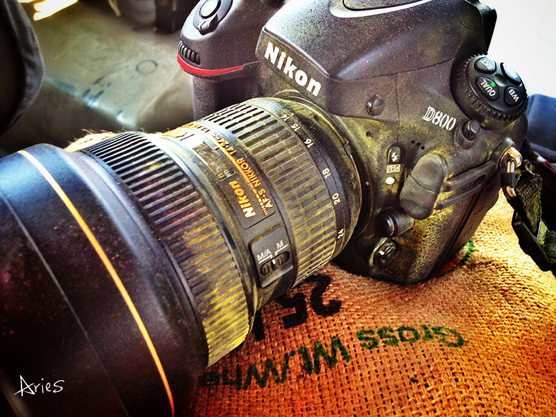 史上最疯狂的色彩盛宴洒红节即将到来！