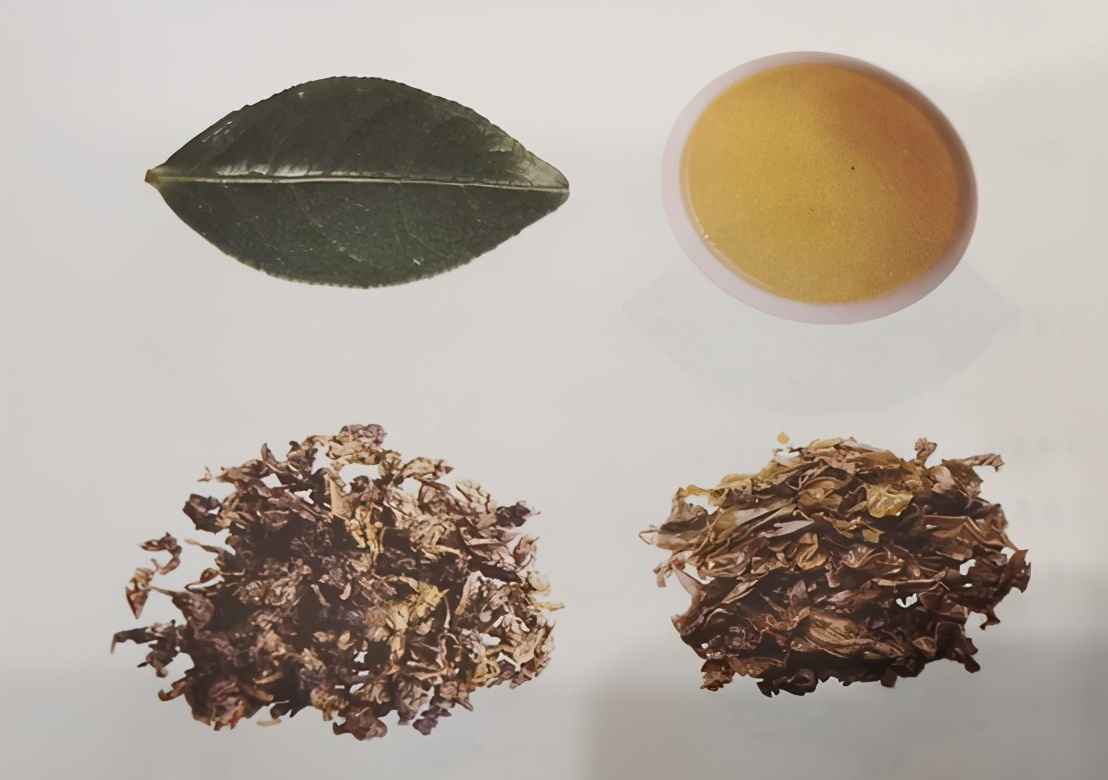 安溪铁观音有几个品种,安溪茶有什么品种