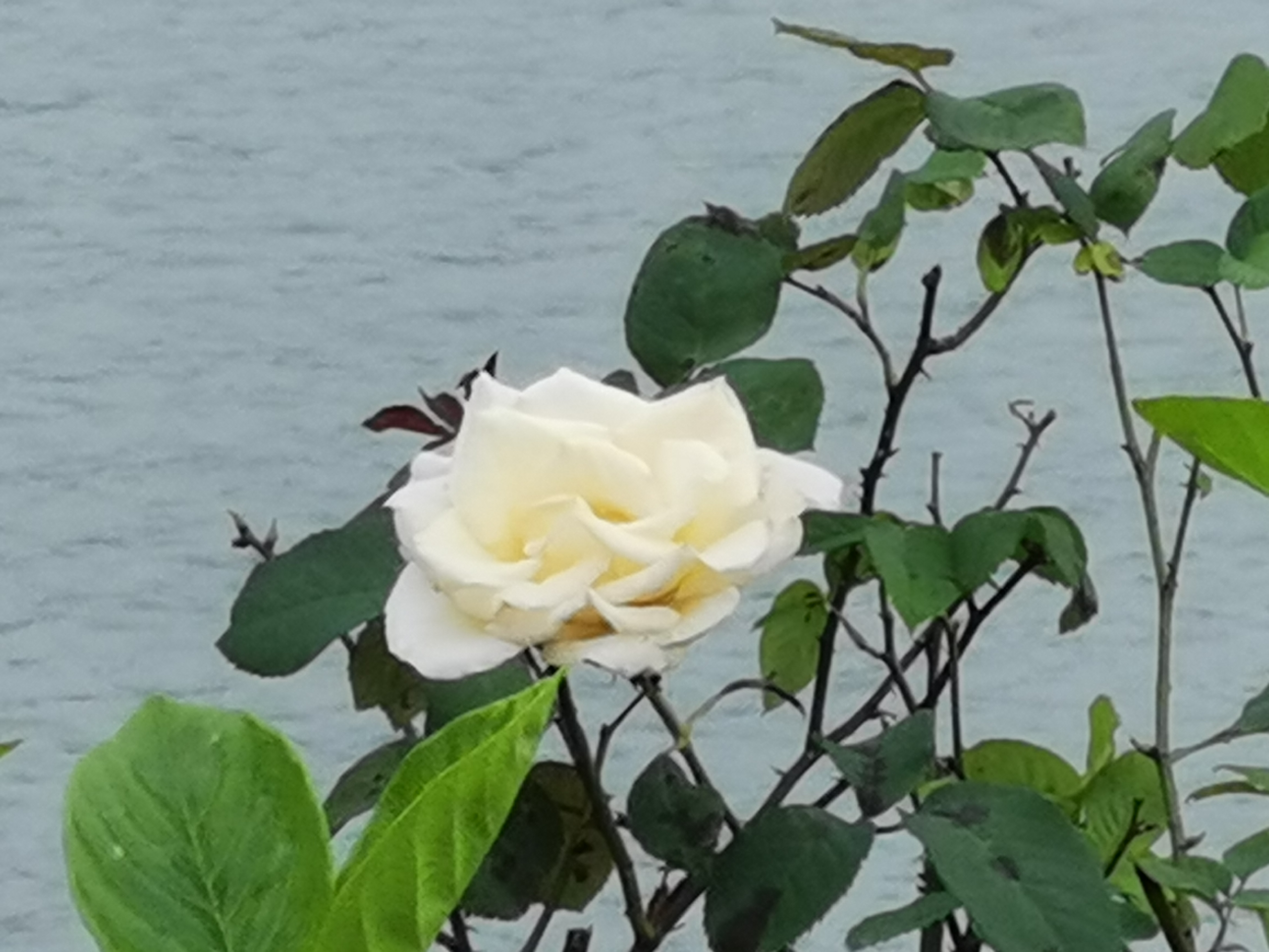 曾经的脏乱差变成了现在的新景观,从面目全非到焕然一新