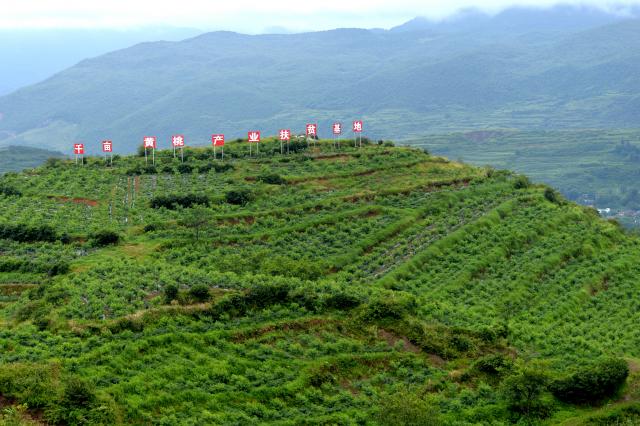 增收项目助力贫困户脱贫,脱贫攻坚项目工作进展