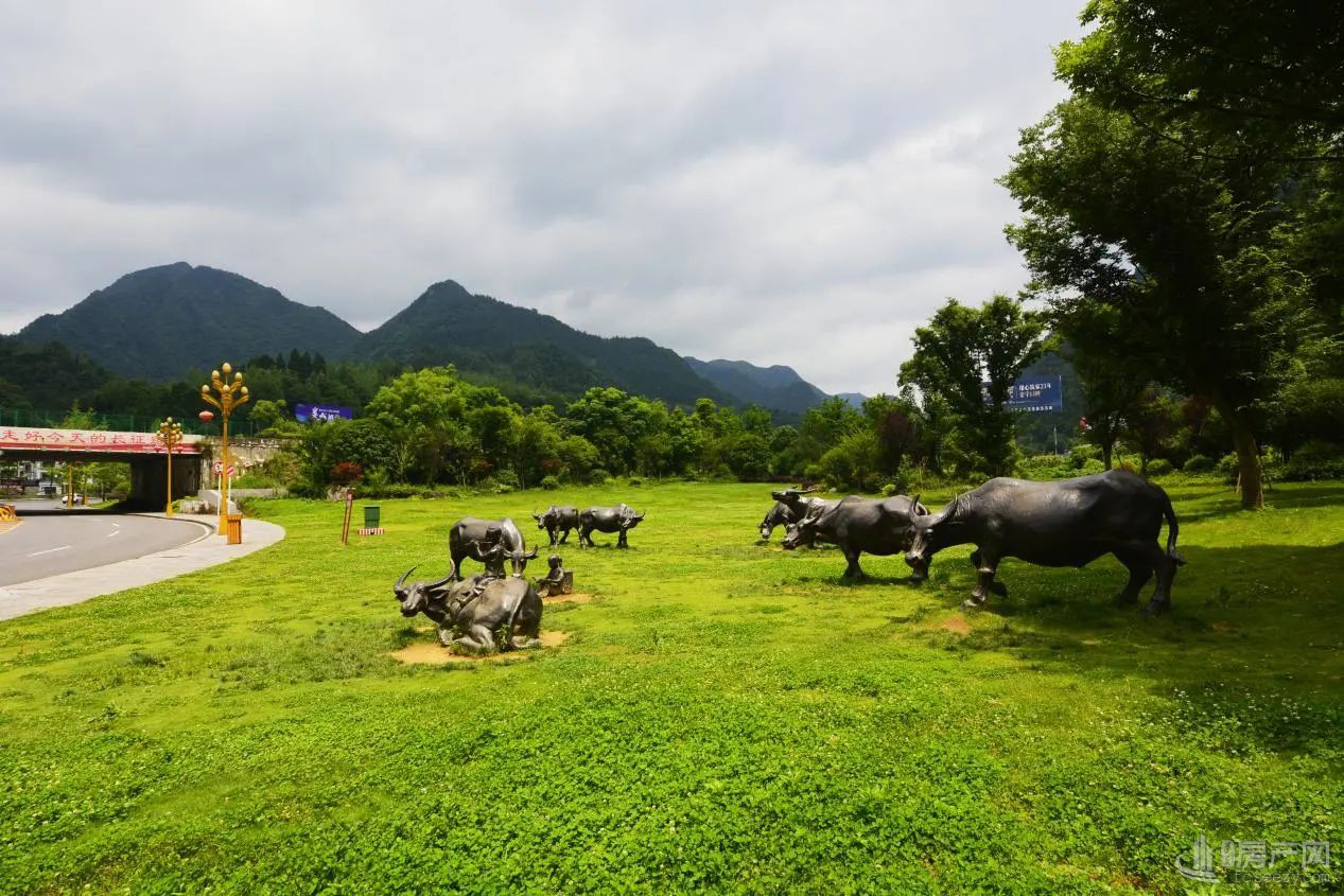 在娄山栖谷，遇见向往的诗意生活