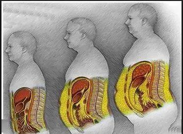 天天跑步内脏脂肪过高怎么减,跑步减内脏脂肪几天有效果