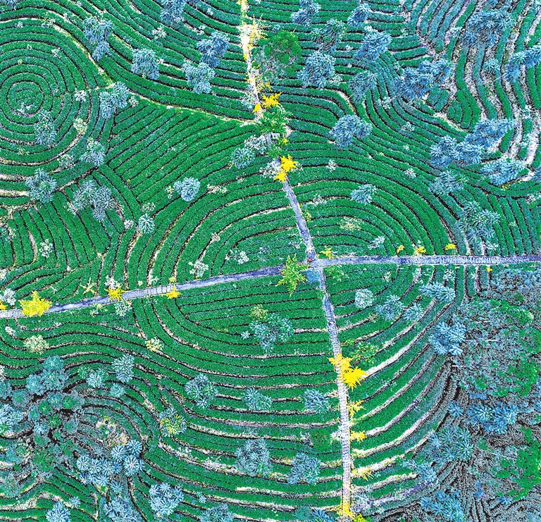 四川新建农村电商示范县,四川有哪些县农村电商