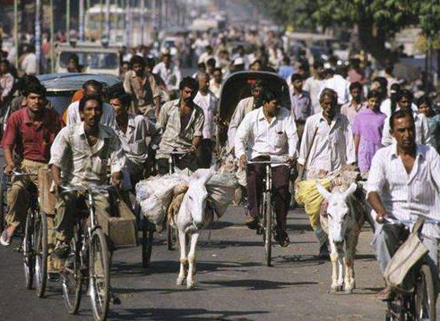 印度穷富两极分化地图,印度多穷