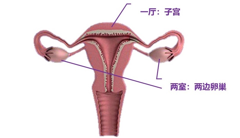 让我们一起保卫我们的家园,让我们一起守护这个女孩