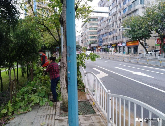 三明城市双修总体规划,三明市2020年重点项目名单