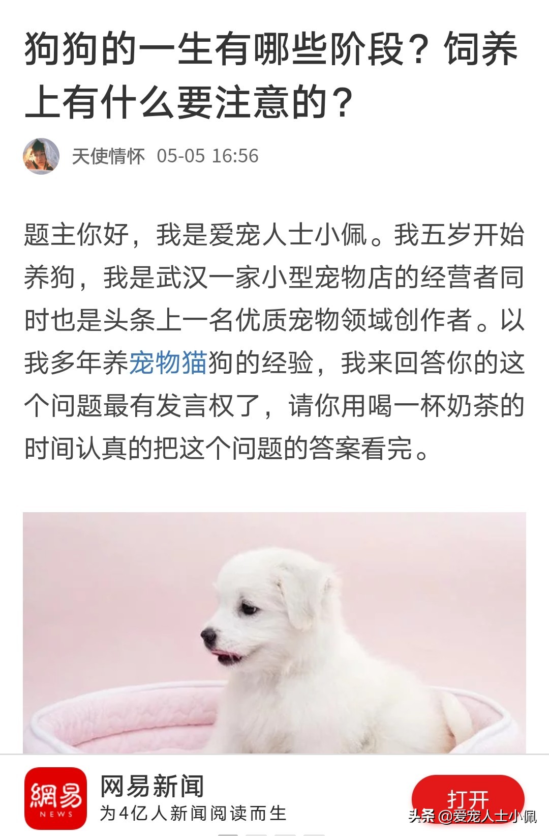 刚满月的幼犬能喝水吗,幼犬满月不拉不尿会死吗
