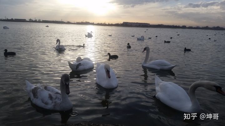 真实俄罗斯生活啥样的,俄罗斯是一个什么样的民族