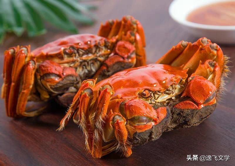 秋风起蟹脚痒是谁写的,秋风起蟹脚痒翻译