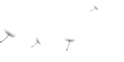 如此发烧友｜我追寻回到乐团中央的感觉