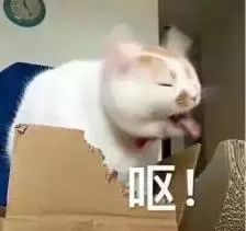 名门泽佳315曝光真假,名门泽佳怎么鉴定真假