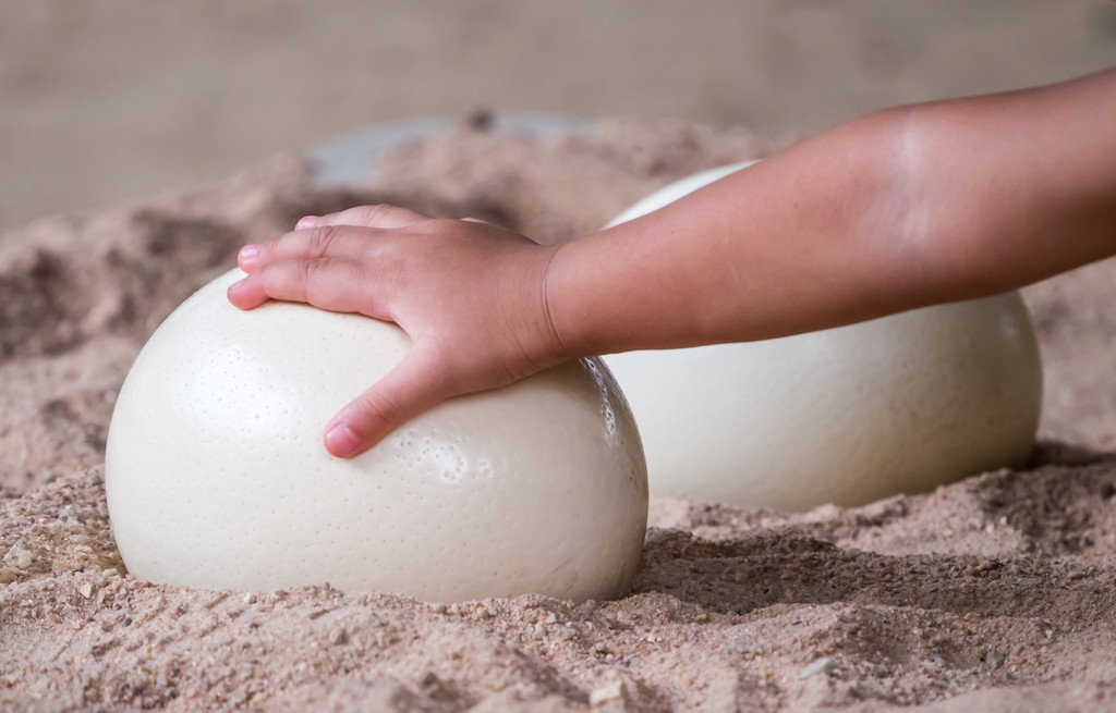 一颗鸡蛋卖天价,一颗蛋卖四百万的梗