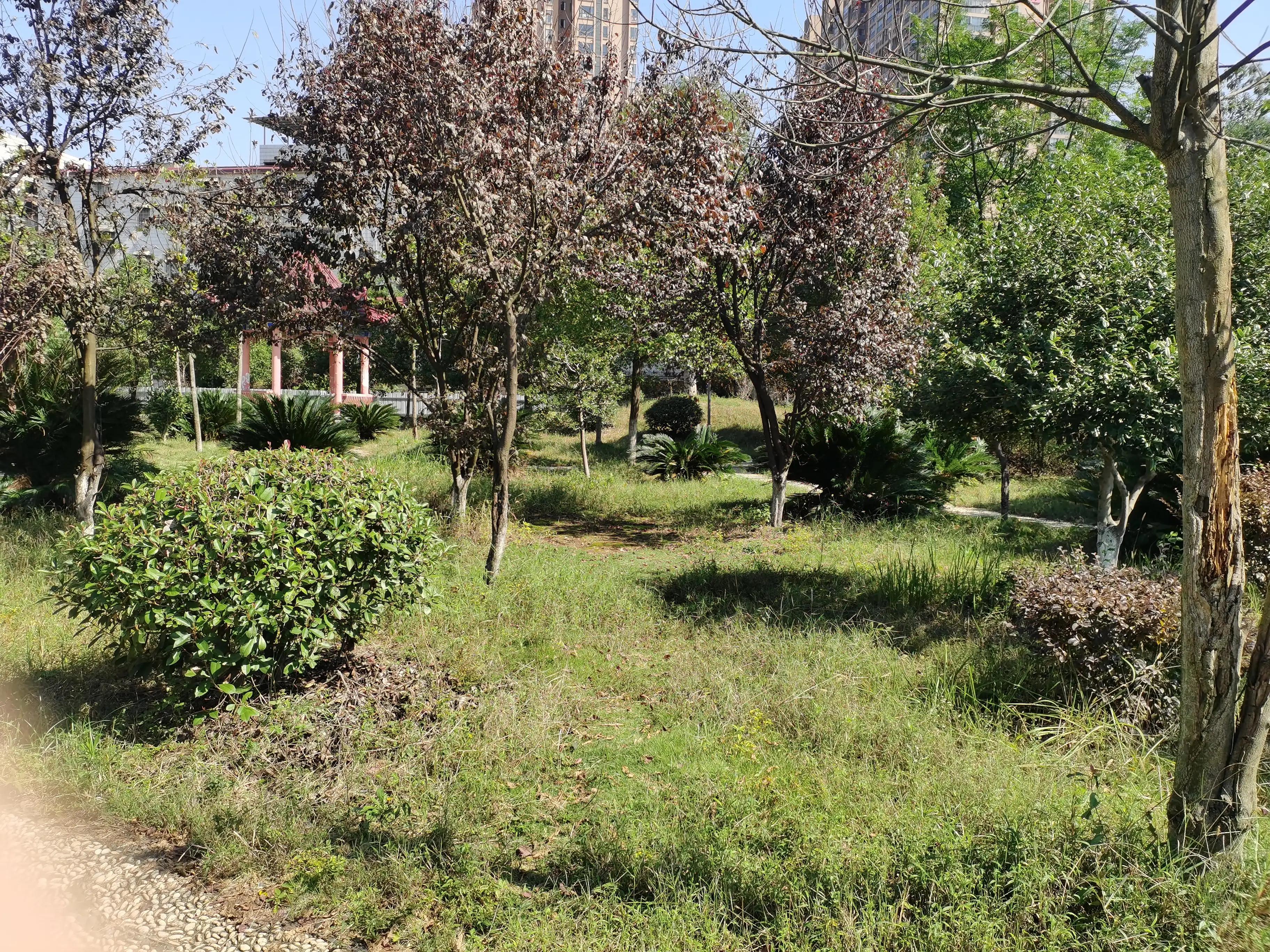 深圳往事记录10年前,电镀厂员工偷金