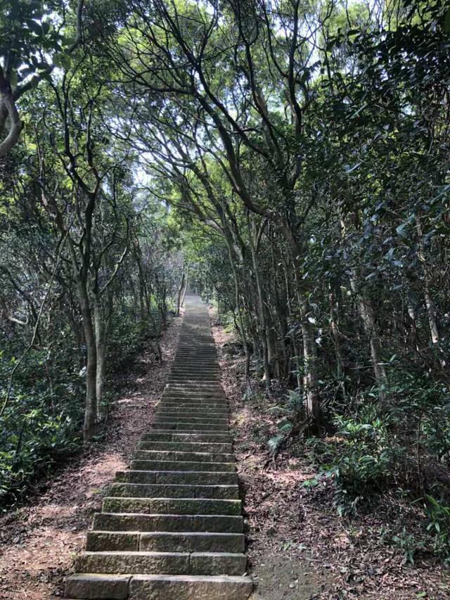 慢性肾衰痛风发作首选药物,痛风等于慢性肾衰竭吗
