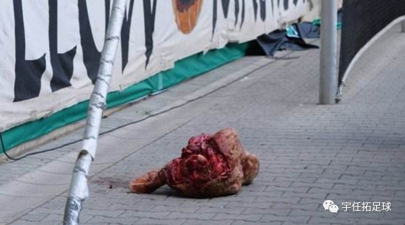 为德甲带来健康财政的50+1，却不是中国足球的灵药