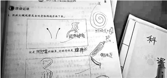 科学老师纠正错别字,错别字多语文老师不纠正