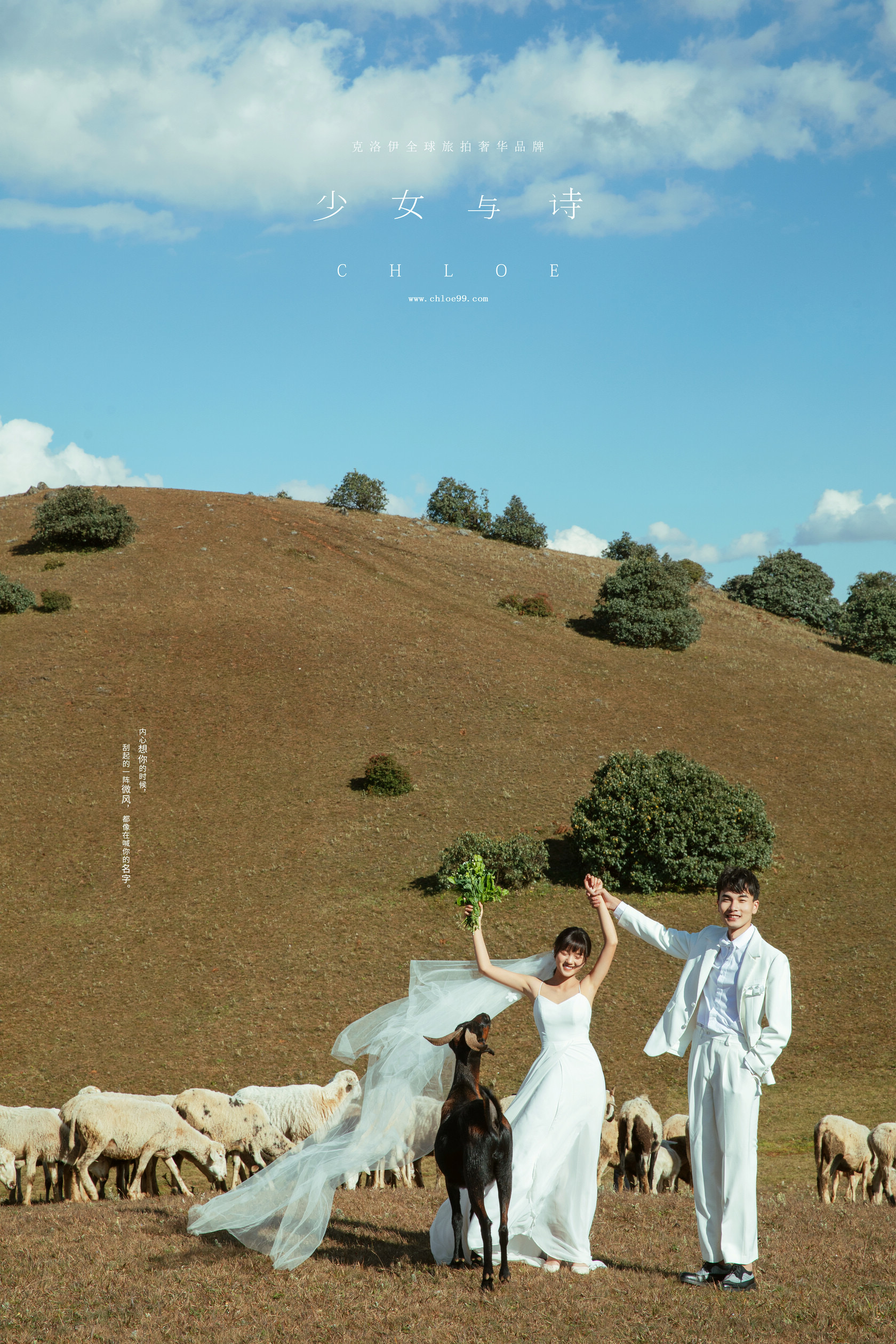 婚纱照选片的4个技巧及注意事项,婚纱照选片技巧及注意事项文字版