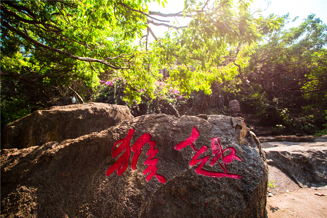 海南必玩猴岛与呆呆丨看萌呆猕猴，呆呆岛发呆