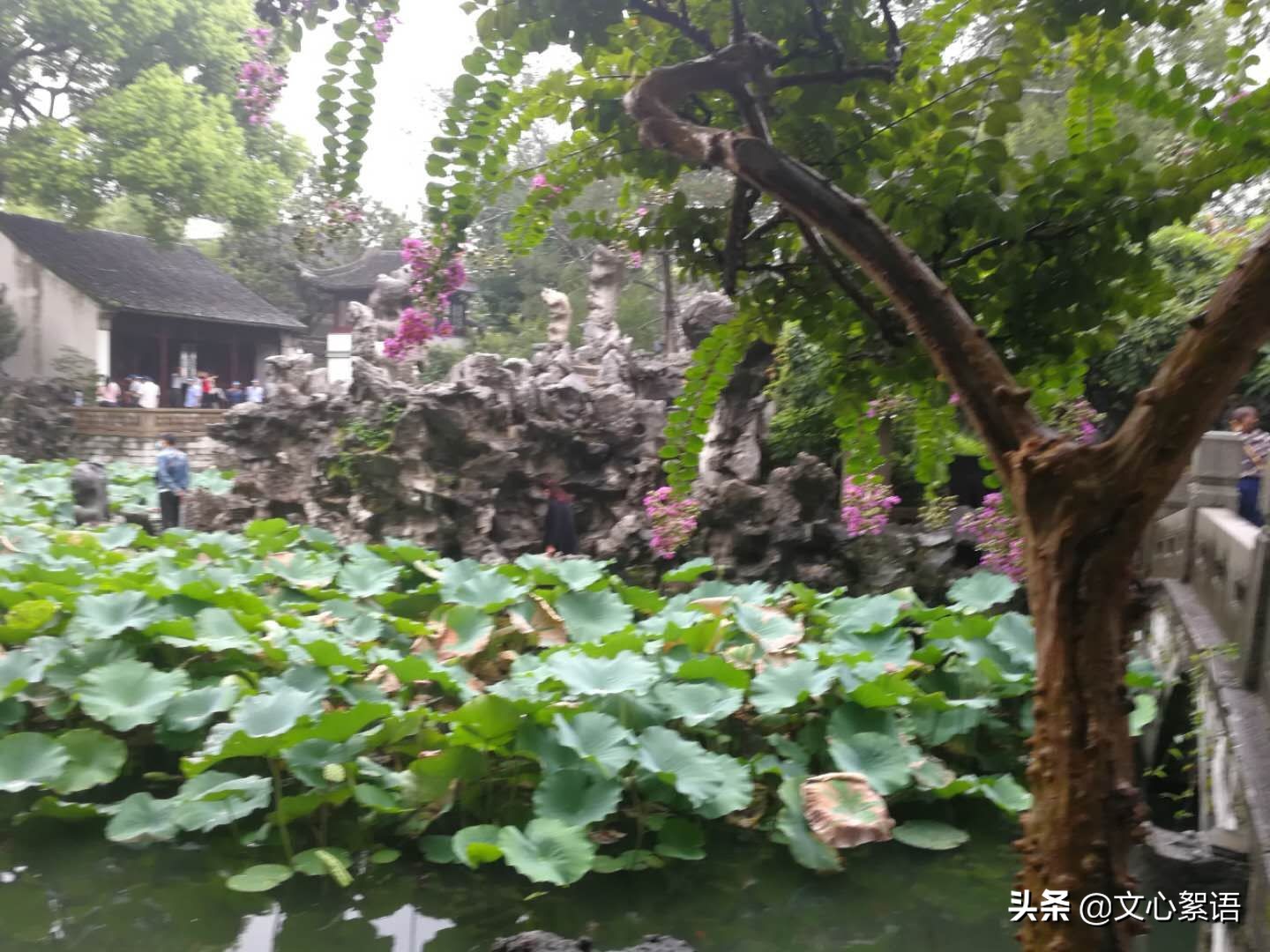 苏州园林一日游价格,苏州园林景点门票多少钱