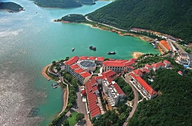 感恩有你砥砺前行大型答谢晚宴,2019感恩有您2020一起迈向新征程