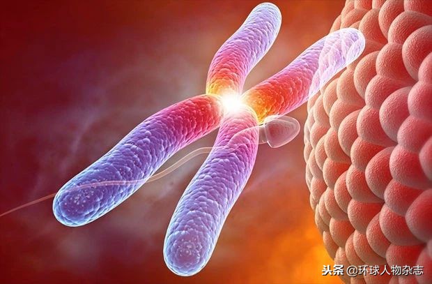 白银连环杀手的“正常”人生