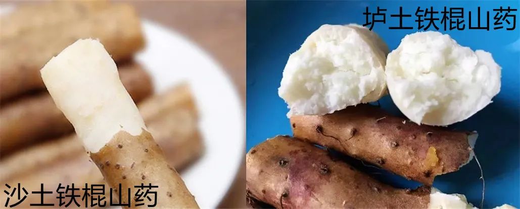 吃了那么多年山药，原来只是在吃菜，不懂山药真的买不到好山药