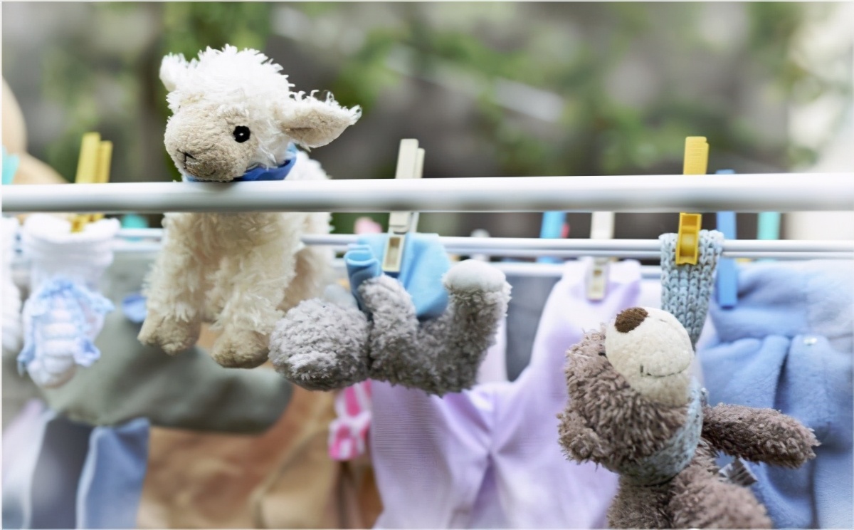 治疗狗耳螨方法,治疗狗耳螨需要多少钱