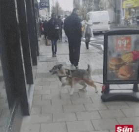 学会这招不愁找不到女朋友,学会这几招不怕找不到女朋友