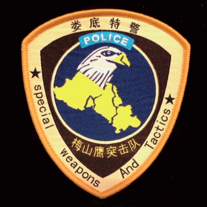 全国各个城市特警队臂章,公安特警帅图