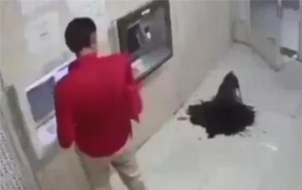 油田一旦停产就会废弃吗,油井停产还能再开吗