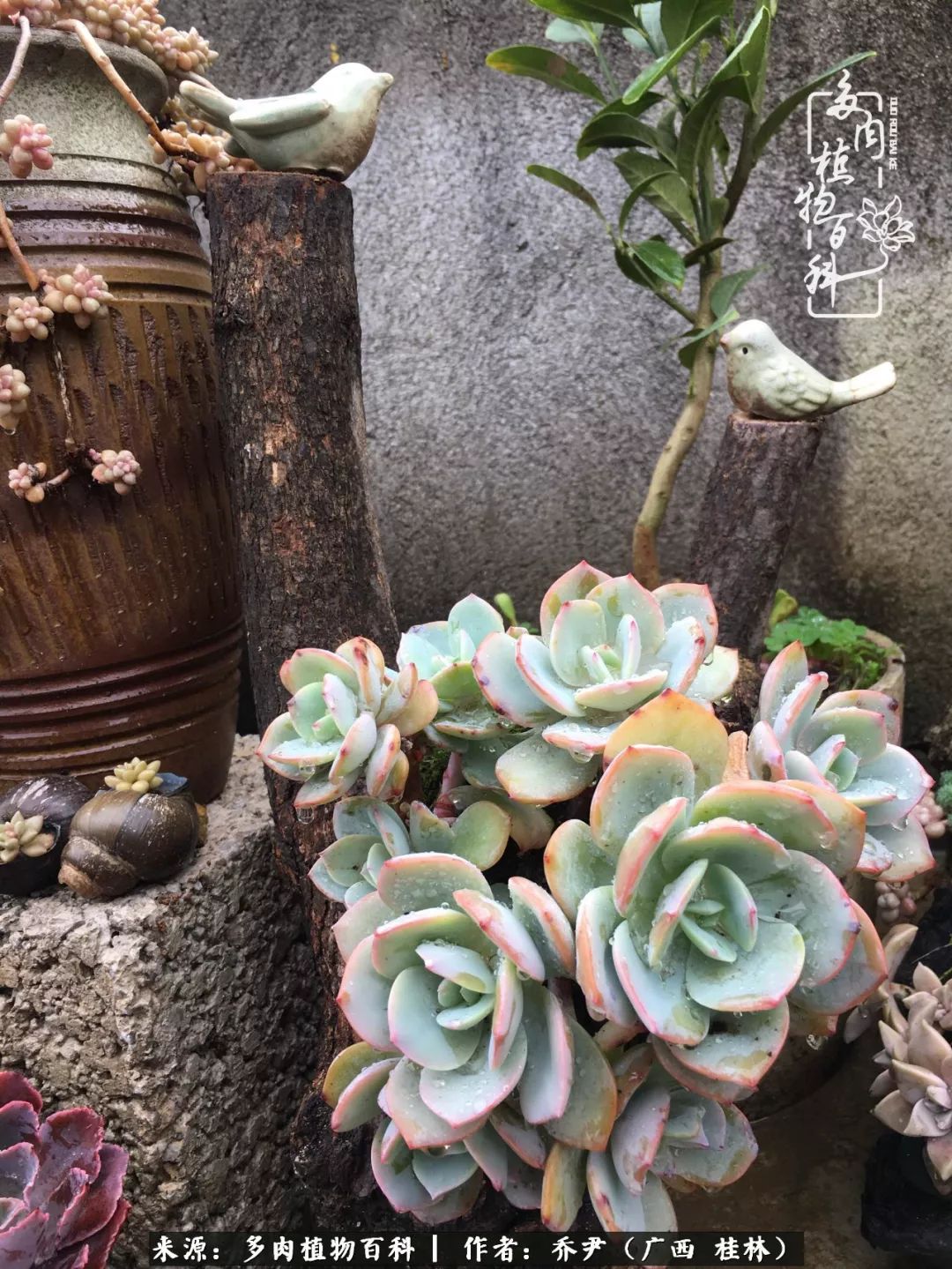 听到秋天的声音,听到了秋天的声音