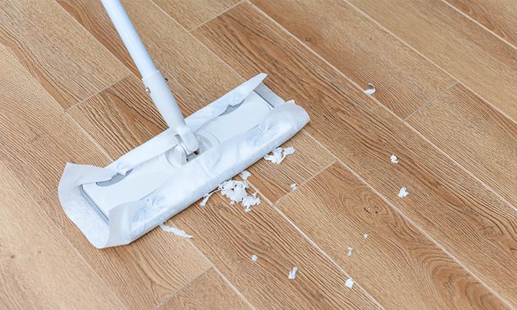 为何家里总有很多毛絮,每年的毛絮怎么解决