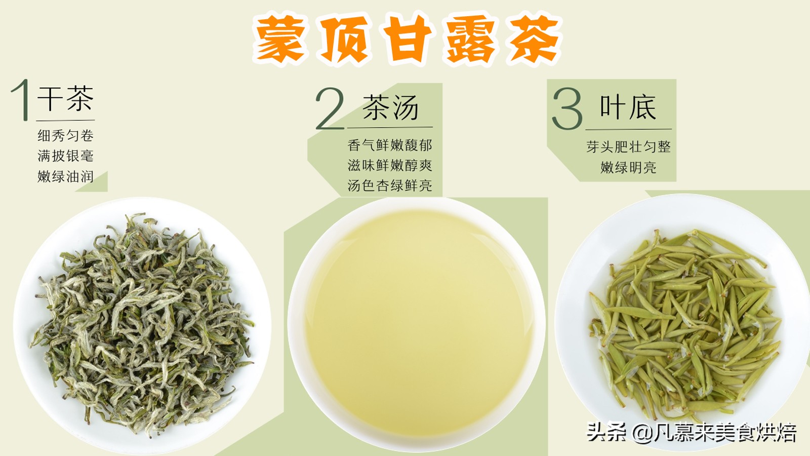 什么品种的茶叶最好喝,中国十大名茶哪种茶叶最好喝