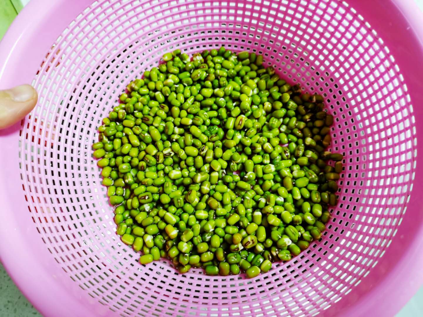 才知道生黄豆芽还能这么简单,发豆芽过程及观察记录