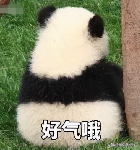 星巴克200家门店轰然倒闭，到底是谁在从中作祟？