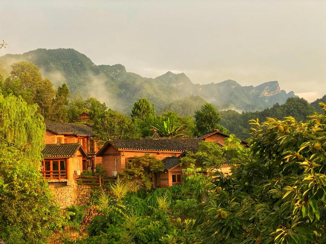 神仙眷侣辞掉高薪工作，爆改废弃山谷，造无边恒温泡池，全景树屋