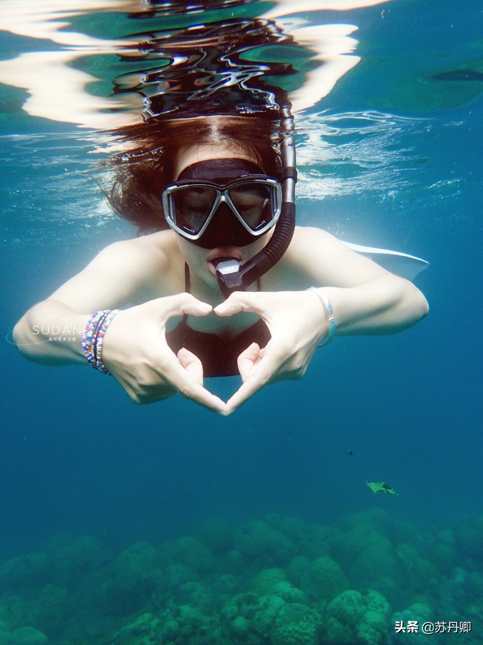 极限潜水死亡名单,潜水的死亡率高