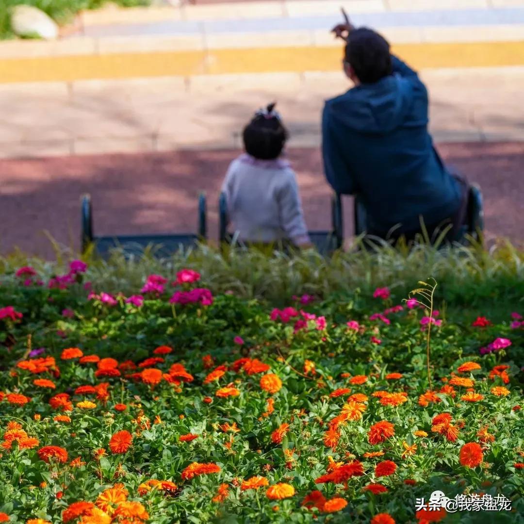 100张照片一百种幸福,100张图片带你去云南