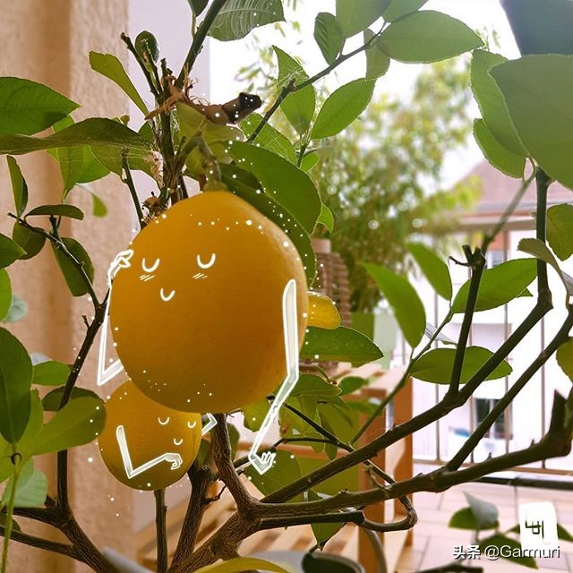 艺术|LulAlilalou看到的神奇世界