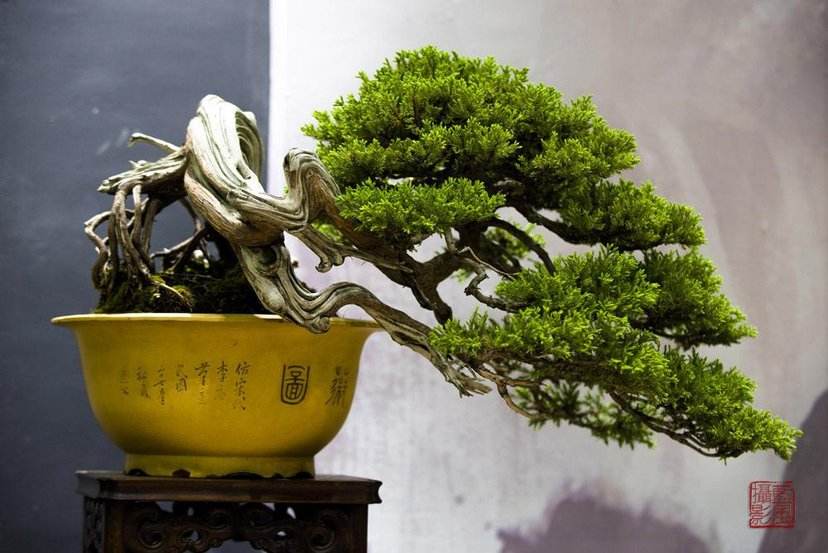 世界之大全貌,世界之大真的不知往哪走去