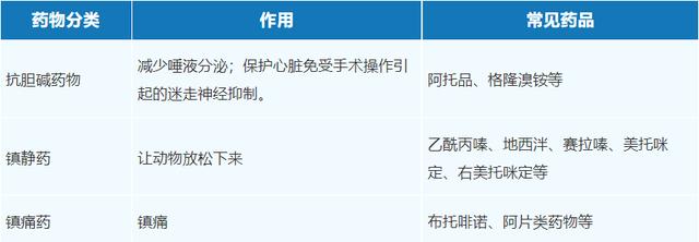 宠物麻醉的最佳方法,宠物吸入式麻醉用的是什么
