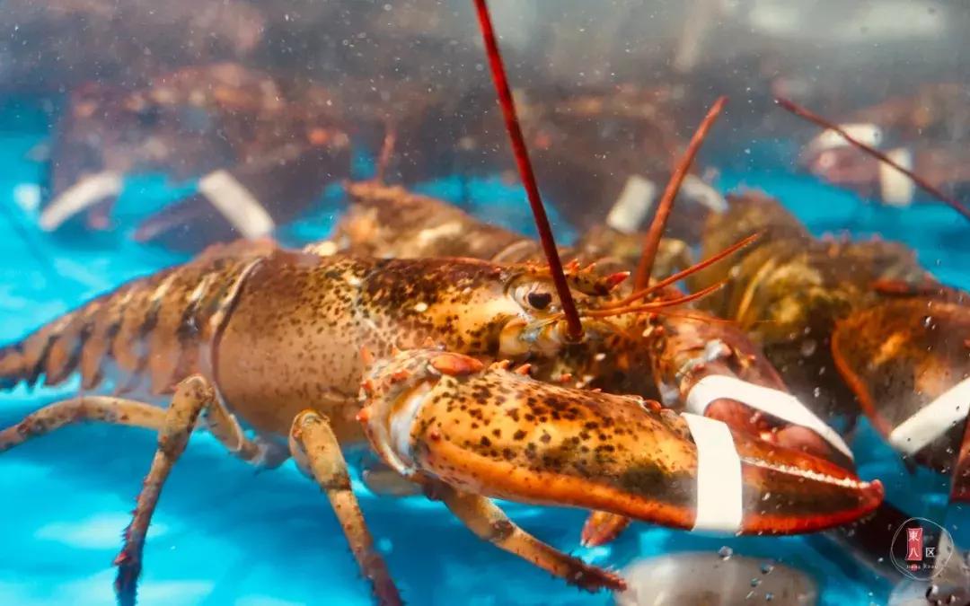 4000方精选超市悠宝利，1W+款单品，360度无死角承包我的购物车！