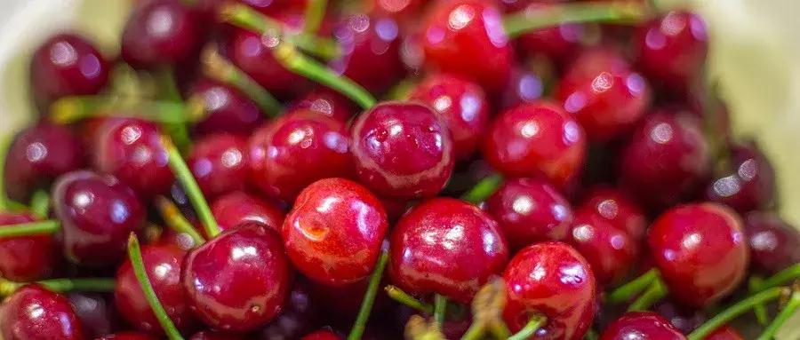 摘樱桃最近的地方西安,西安周边摘樱桃攻略