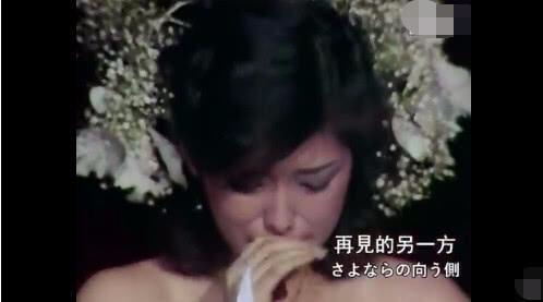 山口百惠的人生选择与归路的启示,山口百惠退出演艺圈的生活方式